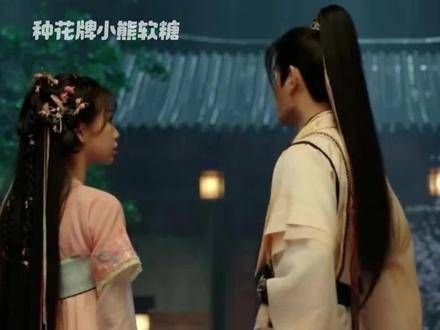 属于小月光的故事,从过去到现在