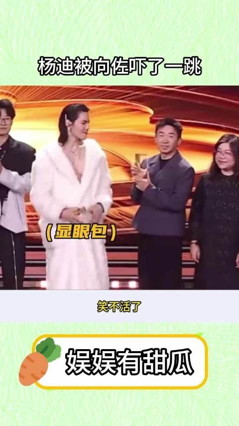 杨迪被向佐拥在怀中