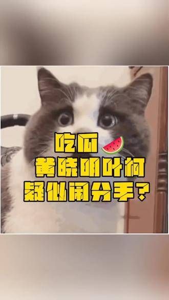 来吃分手 叶珂表示自己是主动追求,而非物质女