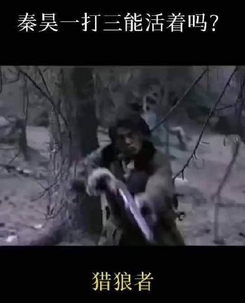秦昊猎狼者打斗实在拳拳到肉