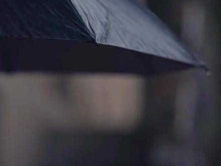 情不知所起,一往而深 14集