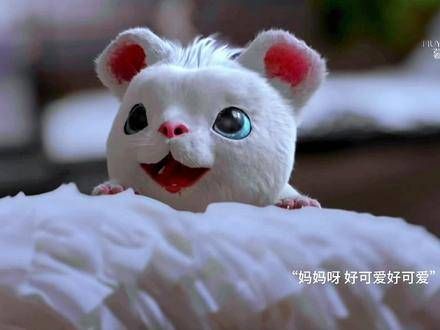 时影变成小白兽,太萌了吧!