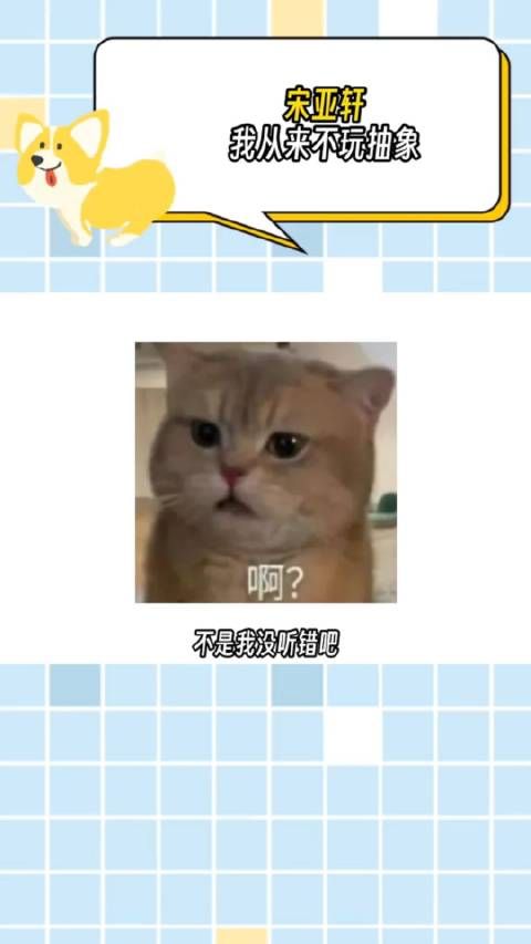 确实不玩抽象,因为他就是抽象本身
