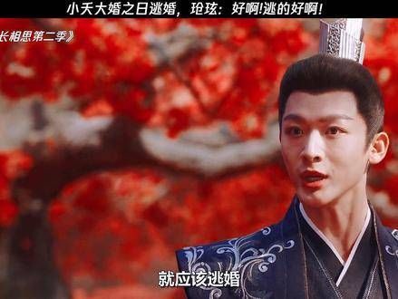 小夭在大婚之日选择逃跑,玱玹大喊:好啊!逃得真好!