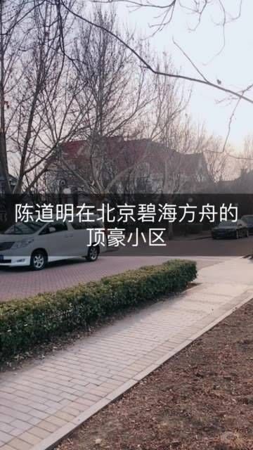 陈道明与葛优为邻,众多一线男明星齐聚的小区