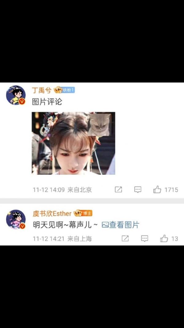 发表情包，一个是妙妙猫塑，一个是小丁的谨言慎行…