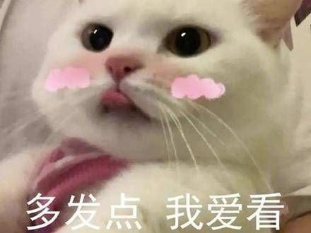 这是真的晒,还能自动翻面呢…第一次从这个角度看质子团 视频分享