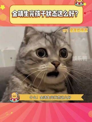 金靖:这是哪次的表演啊!早安:这就是我的!