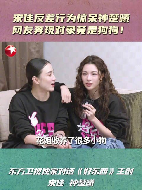 爆料@宋佳 上网冲浪见到可爱狗狗会约网友见面!这么反差的吗!