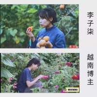 李子柒回应被模仿