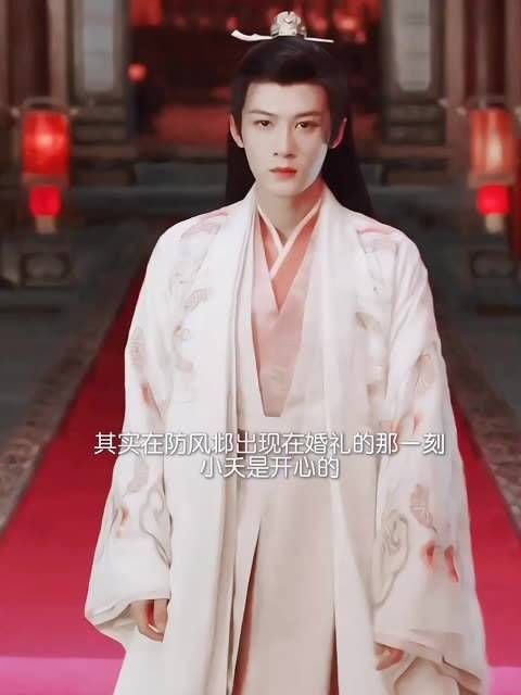 总感觉防风邶出现在婚礼上的那一刻,小夭是感到喜悦的