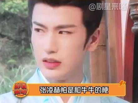 猜到了弹幕里的“牛”不少，但没想到剧中也有这么多“牛”哈哈哈