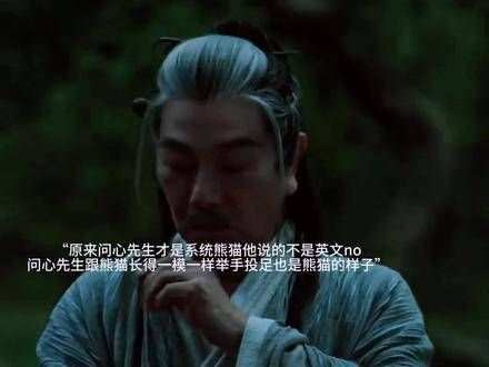 问心先生说的不是英文no,他才是熊猫系统