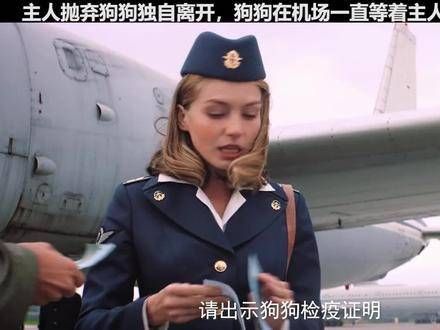 看哭了!永远不要小看了狗狗对主人的情感,它们可是人类最忠实的朋友