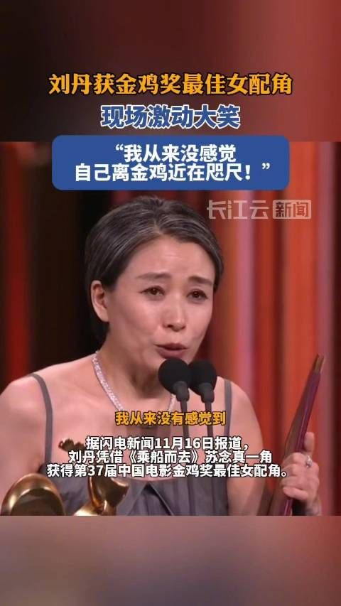 刘丹获第37届金鸡奖最佳女配角