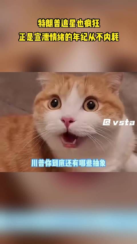 特朗普追星也疯狂,正是宣泄情绪的年纪从不内耗!