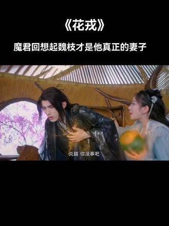 魔君回忆起魏枝,意识到她才是他的真命天女