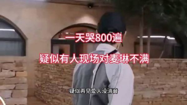 再见爱人现场未消音版本流出!有人在现场对麦琳表达了不满?