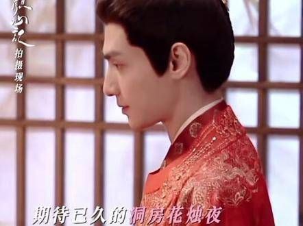 哈哈哈哈大哥{我的洞房夜}江心白.顏南星 罗云熙新剧新娘是印小天