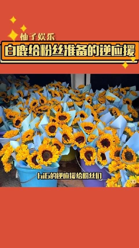 白鹿给粉丝准备的逆应援 鲜花、咖啡、奶茶,做她的粉丝真的很幸福~ 白鹿
