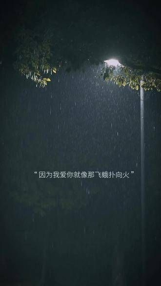 因为我爱你，就像飞蛾扑向火焰， 请告诉我，爱上你， 是不是错了？