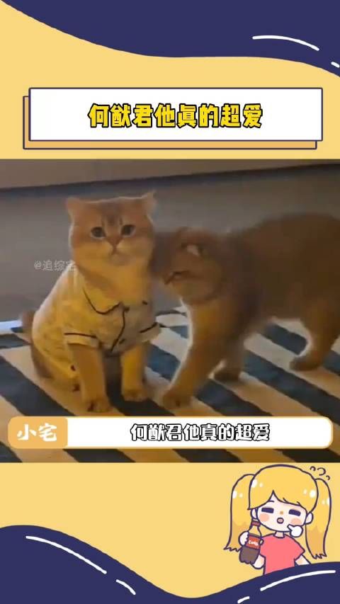 糖份超标了,何猷君你控制一下自己!奚
