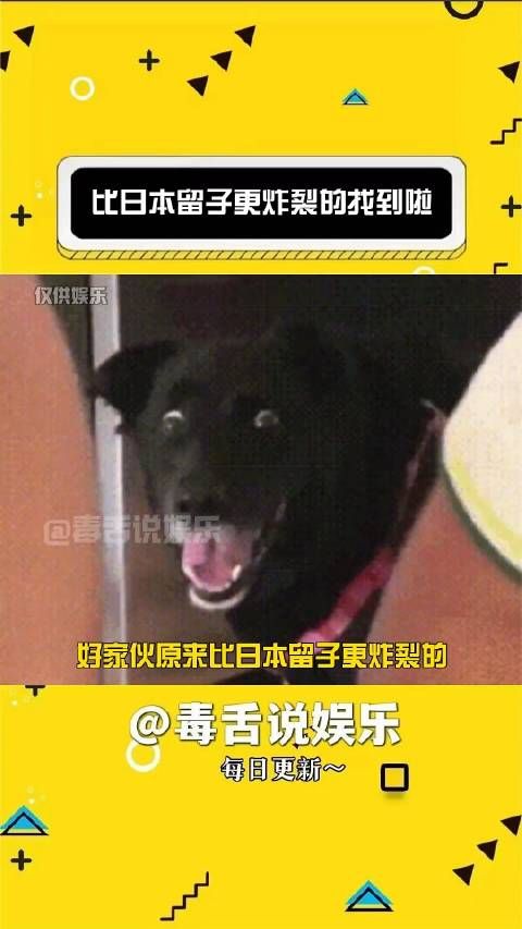 原来比日本留子更炸裂的是日本留子的爹妈!搞笑 万万没想到 娱乐评论大赏
