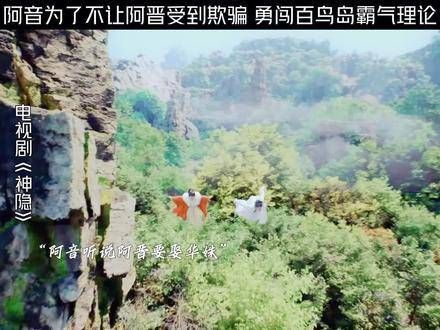 阿音为了保护阿晋不被骗,勇敢前往百鸟岛与人理论