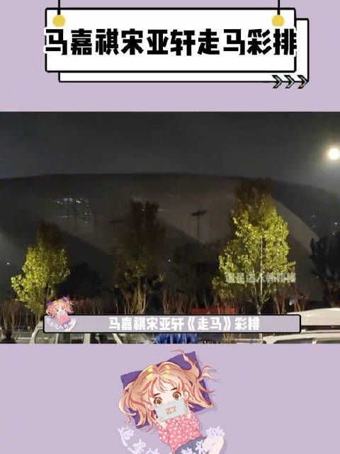 宋亚轩 马嘉祺舞台彩排,合作《走马》,这次终于来了,期待!