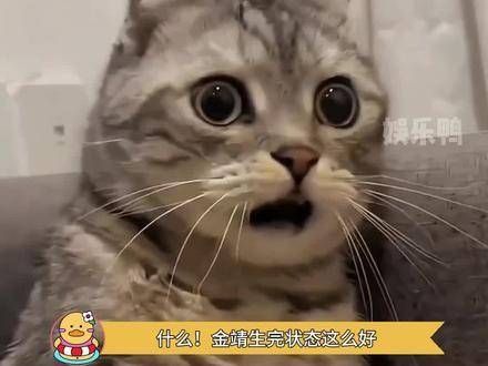 金靖:这是哪次我的表演呢!早安:这就是我!