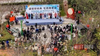 屈原故里“楚辞群英会”：一树繁花竞芳菲