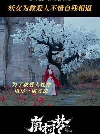 阿柯对沈南的情感,谁能看了不为之动容呢