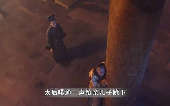 一天一个心眼子系列,小康熙智斗鳌拜
