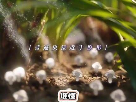 “爱意如尘芥”真是绝妙的表达