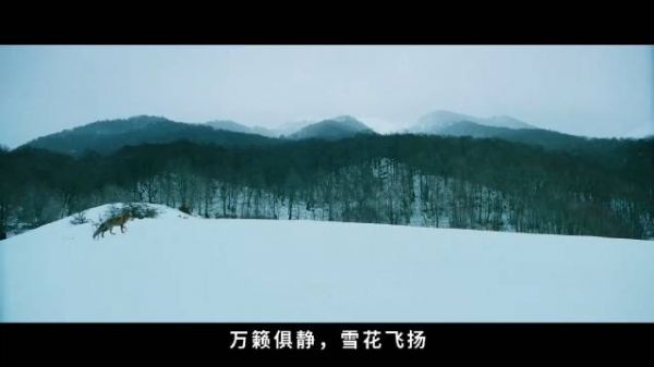 糟糕,被击倒了!这部16年前的绝美影片,我又默默的刷了两遍