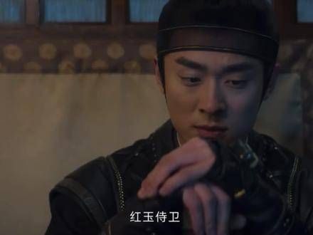 金繁在8岁那年就成为了红玉侍卫,但因宫鸿羽的安排…