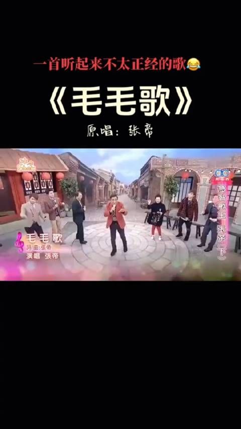 张帝老师的神曲,毛毛歌