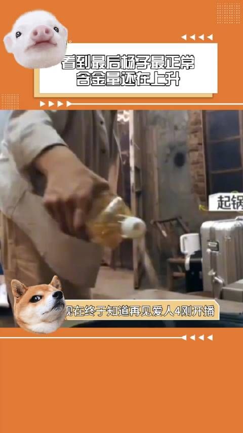 看到最后杨子最正常含金量还在上升!