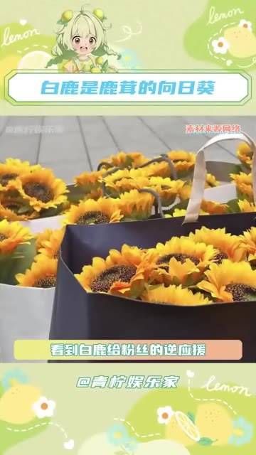 真诚永远是最强的武器!