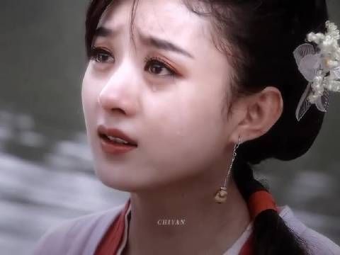 “别号意柳公子”