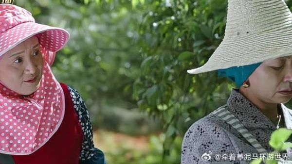 阿桂婶帮助好姐妹,凤姨感动流泪,非要嘴硬说有风