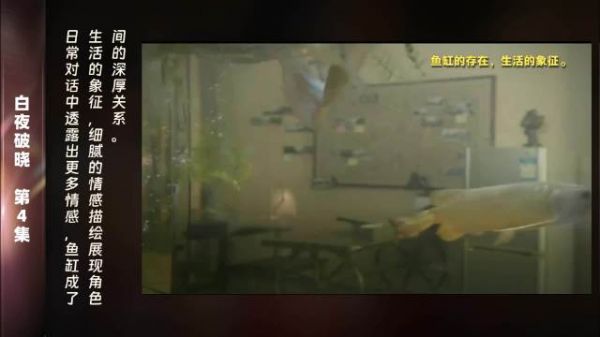 第4集 精彩片段在日常生活的琐碎中,鱼缸的存在似乎成了他们内心情感的寄托