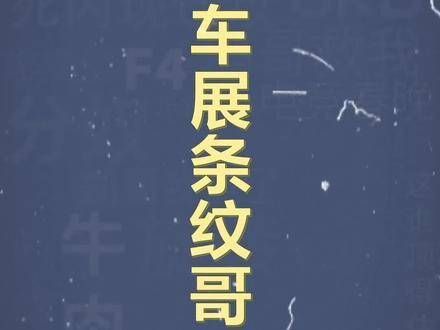 十万个梗百科:车展上的条纹哥