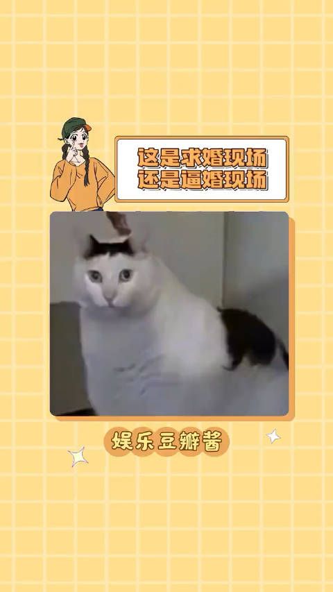 真的是令人窒息的求婚现场海底捞