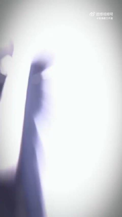 张晚意,一路荆棘,一路艰辛