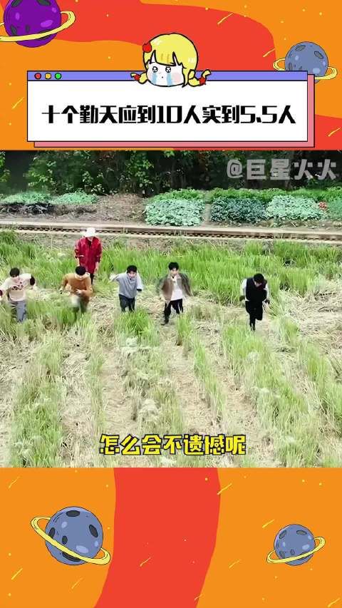 十个勤天应到10人实到5