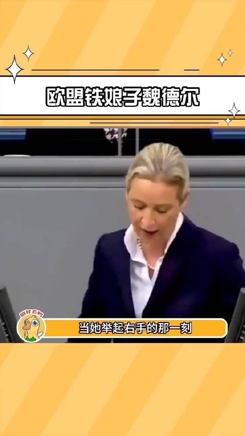 一个人单挑六大派，堪称欧盟铁娘子 魏德尔 演讲 柏林之声 女性 落榜美术生