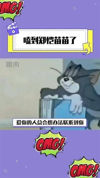 没想到2024年又磕到了郑凯和苗苗了