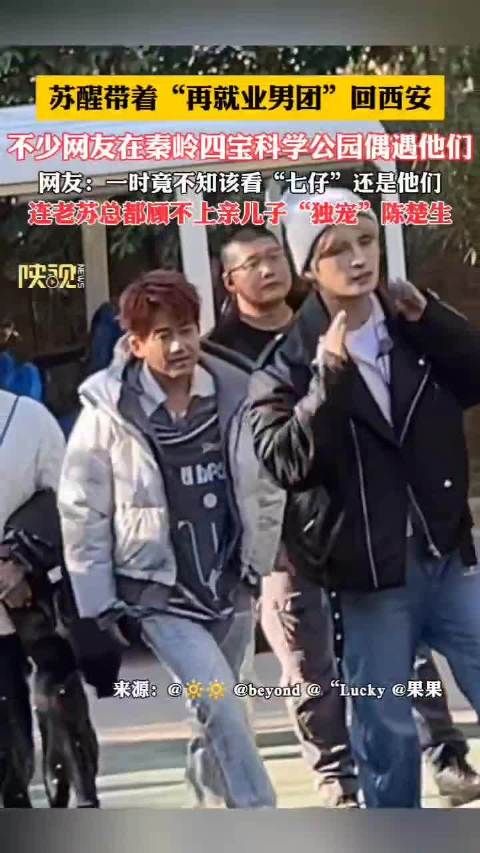 苏醒带再就业男团来看七仔
