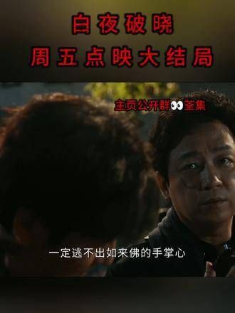 白夜破晓第22集最新剧集